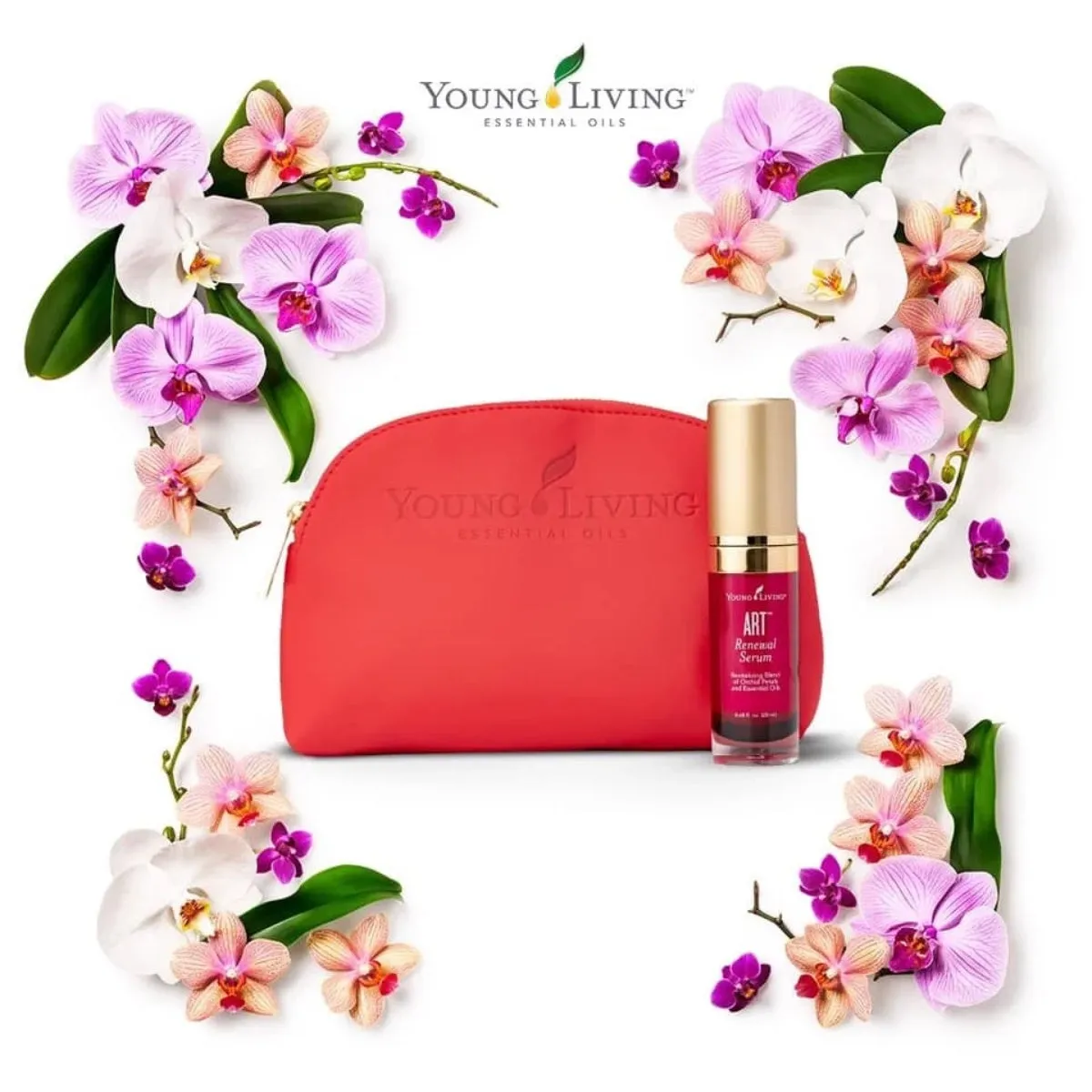 Young Living ART® Renewal Serum